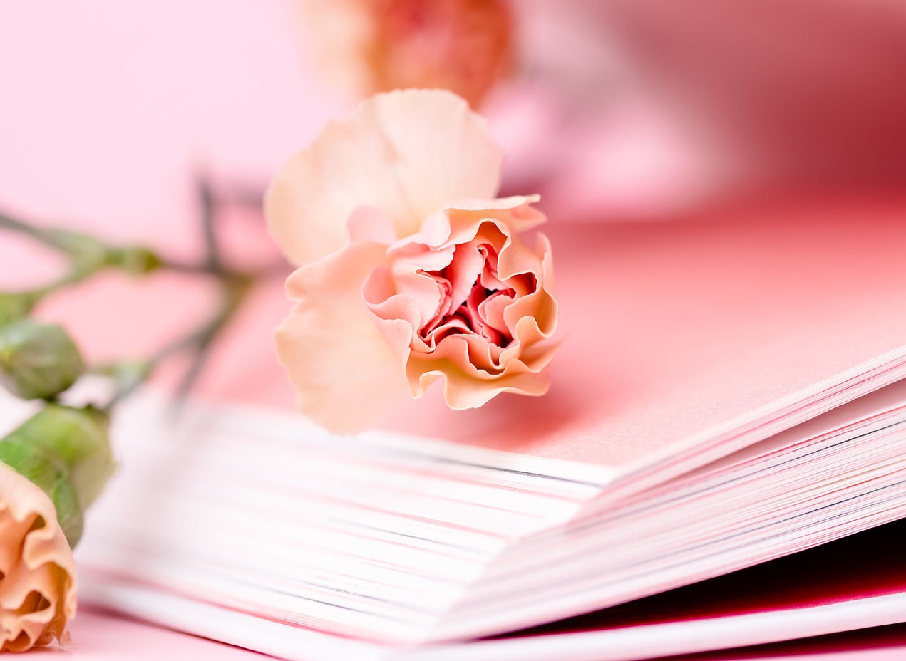 文献紹介のページを更新いたしました（2026年1月掲載）